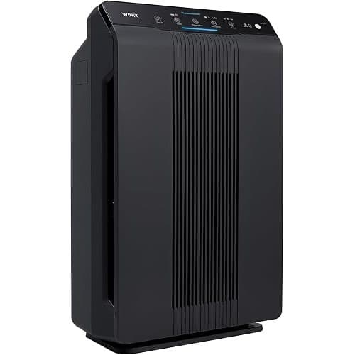 WINIX 5500-2 air purifier in white and black